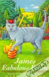 James, Fabulous Feline