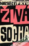 Živá socha