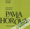 Literárne múzeum Pavla Horova v Bánovciach nad Ondavou