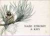 Nae stromy a kry