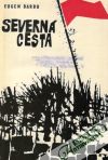 Severn cesta