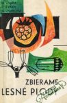 Zbierame lesné plody