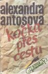 Kočka přes cestu