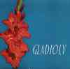 Gladioly