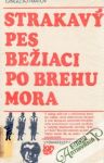 Strakav pes beiaci po brehu mora