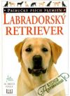Labradorsk retriever