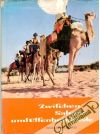 Zwifchen Sahara und elfenbeinküste