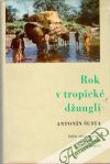 Rok v tropické džungli