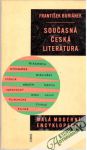 Souasn esk literatura