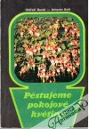Pěstujeme pokojové květiny