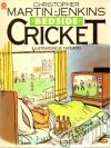 Bedside cricket