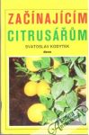 Zanajcm citrusum