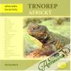 Trnorep africký