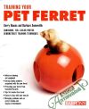 Training your pet ferret