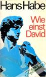 Wie einst David