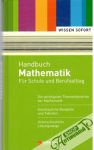 Handbuch Mathematik