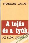 A tojs s a tyk