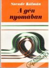 A gén nyomában