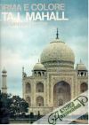 Forma e colore - Il Taj Mahall 52