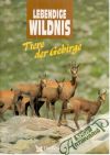 Tiere der Gebirge - lebendige wildnis