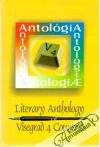 Literary anthology Visegrad 4 countries