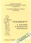 Fragmenty z histórie sláčikových nástrojov