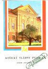 Košický vládny program