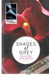 Shades of Grey - Geheimes Verlangen