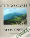 Attingo Caelum Slovensko