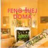 Feng šuej doma
