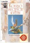 Kouzlo suchých květin