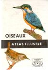 Oiseaux - atlas illustré
